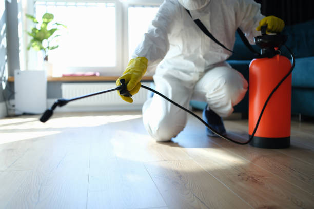 Reliable Odor Removal contractor in Fulton, KY by Trauma Clean Pros